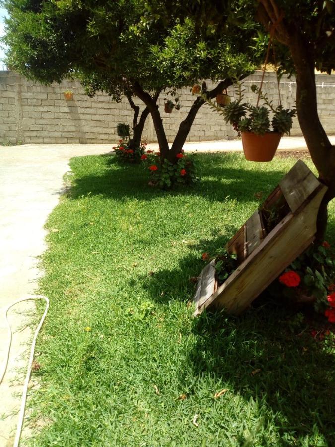 B&B Villa Del Sole Gizzeria Exterior photo