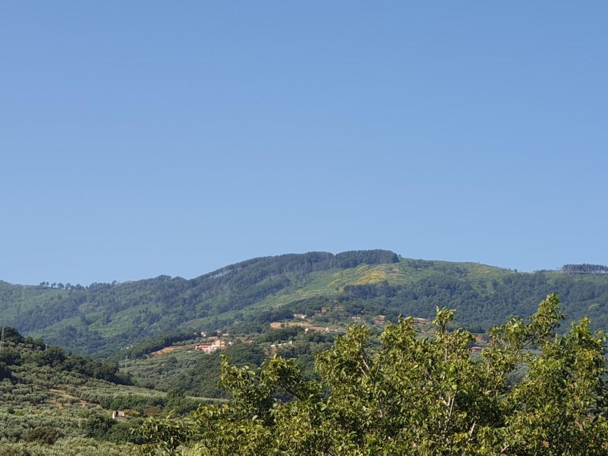 B&B Villa Del Sole Gizzeria Exterior photo